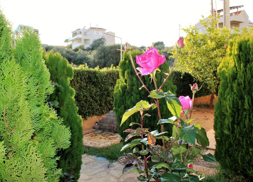 Helen'S Sounio Apartments Sounion Luaran gambar